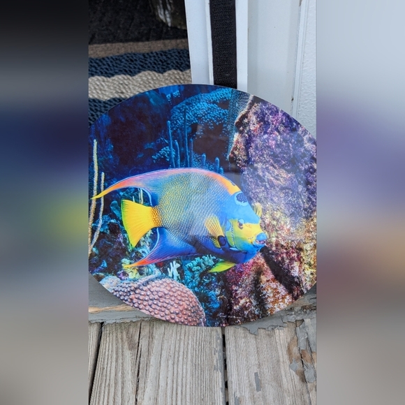 Queen Angel Fish Picture (New) - Picture 2 of 4